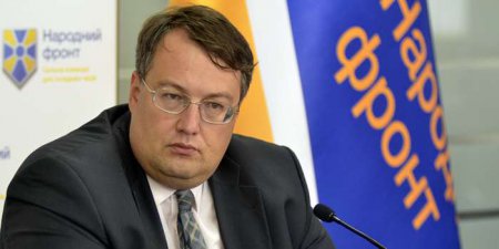Геращенко: Фракция "Народного фронта" не будет голосовать за "особый статус" Донбасса