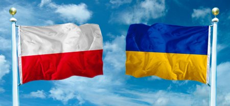 Рада и польский Сейм приняли совместную Декларацию памяти и солидарности