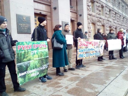 Жители Киева вышли на защиту леса: руки прочь