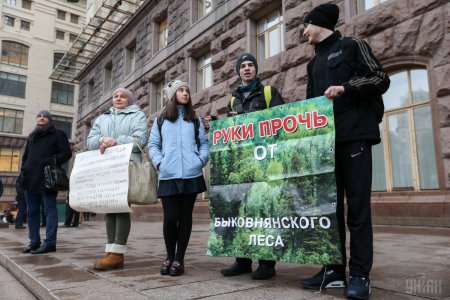 Акция против скандальной вырубки леса в столичном Голосеевском парке