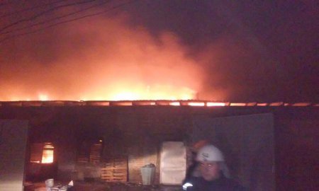 Произошел масштабный пожар в Киевской области