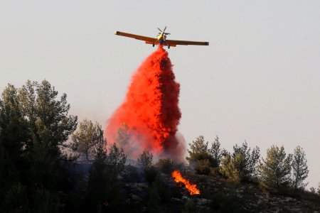Фоторепортаж: Последствия лесного пожара в Израиле 