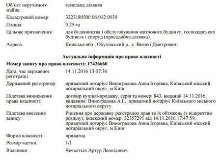 Адвокат Тимошенко получил 7,5 млн грн дохода от зятя Юлии 