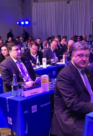 Саакашвили занял место лидера голландской партии