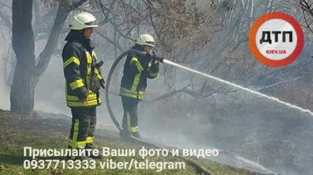 В Киеве горят гектары сухой травы