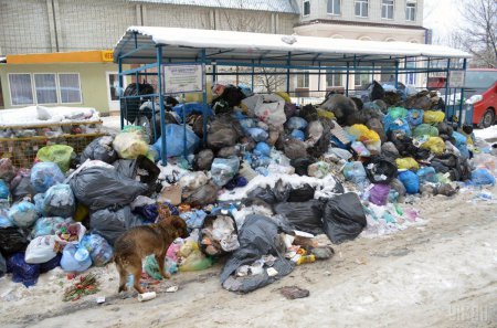 Кабмин решил вопрос  с утилизацией львовского мусора