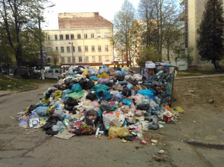 Жителей Львова «накрыло» мусором 