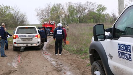 Патрули ОБСЕ возобновила работу на Донбассе