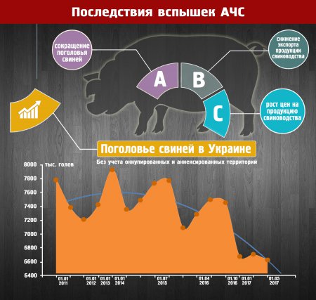 Африканская чума свиней в Украине