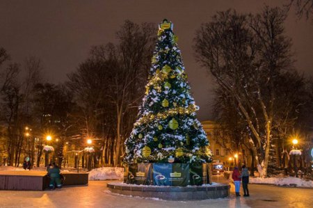 Фоторепортаж: Как выглядят елки в разных районах Киева