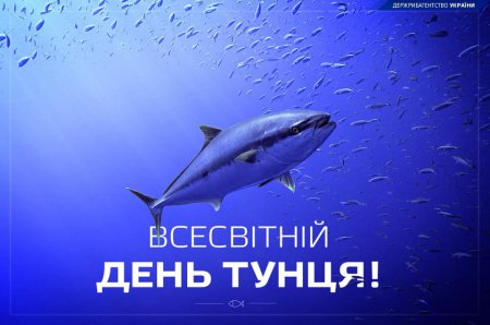 Госрыбагенство празднует Всемирный день тунца