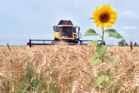 Игорь Мазепа: Только порядка 60% украинских аграриев ведут прогрессивное хозяйство