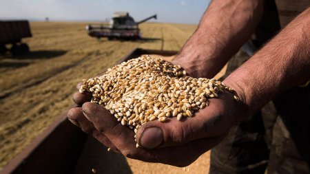 В Украине уже превышен прошлогодний сбор зерновых
