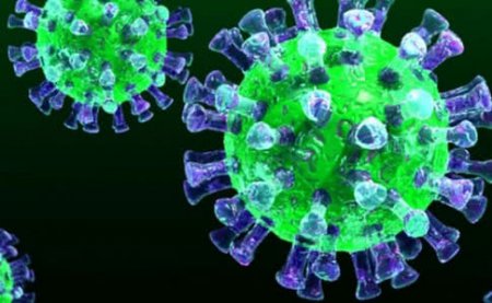 Емец: Украина еще может локализовать коронавирус жесткими мерами, иначе количество жертв будет катастофичным