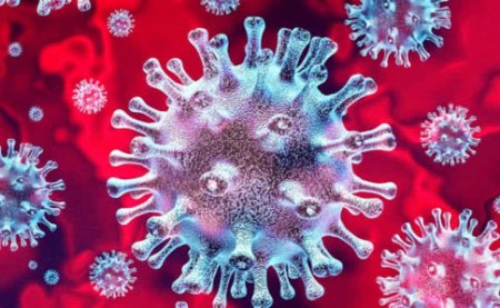 С начала эпидемии проведено более 30 тысяч исследований на коронавирус в Украине 