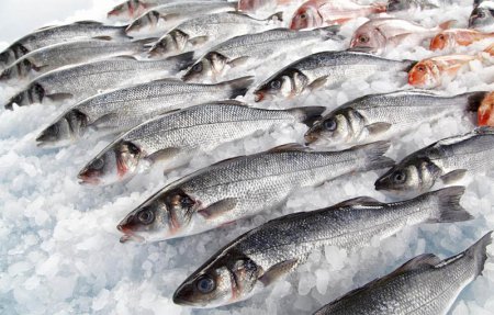 Денежные поступления от экспорта украинской рыбы составили более 1 млн долларов