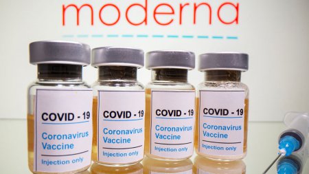 Агентство по оценке лекарственных препаратов одобрило использование американской вакцины Moderna