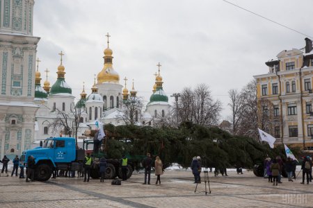 Новогодняя елка Украины уже в столице