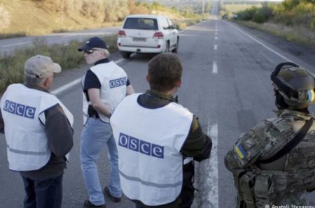 Германия настояла на усилении миссии ОБСЕ в Украине