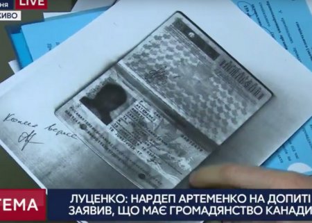 Луценко обнародовал скандальный паспорт Артеменко