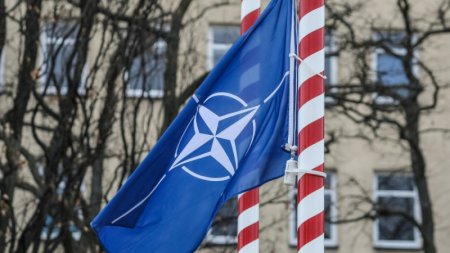 НАТО проверит украинскую армию касательно стандартам альянса